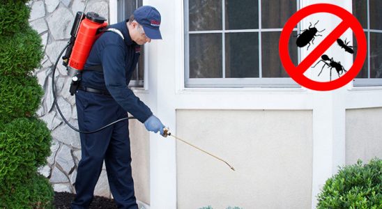 Elbeyli Dezenfeksiyon böcek ilaçlama ve haşere kontrolü — ilaclama-tr.com